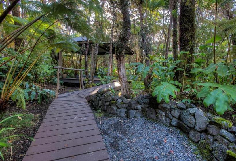 مبيت وإفطار Volcano Mist Cottage