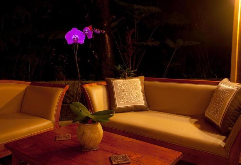 مبيت وإفطار Volcano Mist Cottage