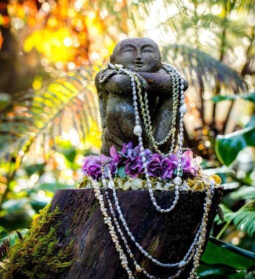 مبيت وإفطار Volcano Mist Cottage