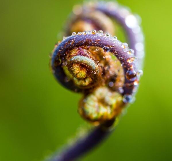 مبيت وإفطار Volcano Mist Cottage