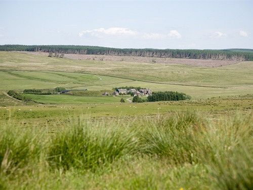 Gibbs Hill Farm - B&b