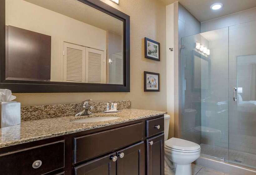 Отель Comfort Inn Bentonville  Crystal Bridges