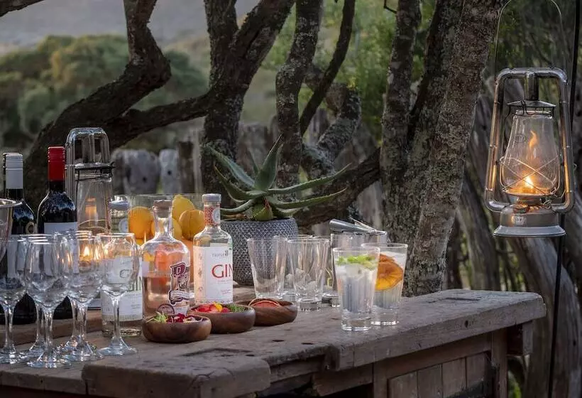 فندق Hillsnek Safari Camp Amakhala Game Reserve