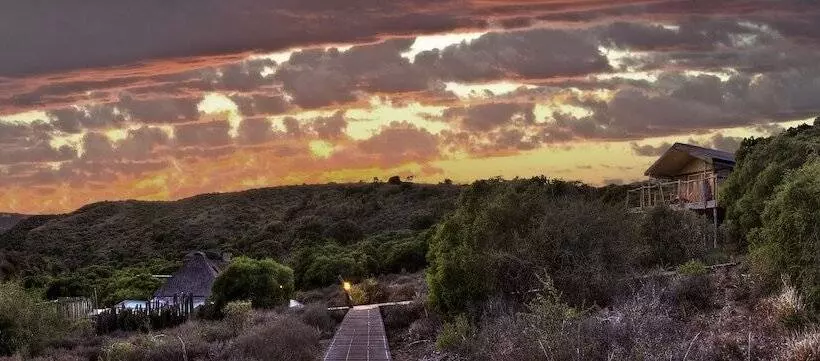 فندق Hillsnek Safari Camp Amakhala Game Reserve