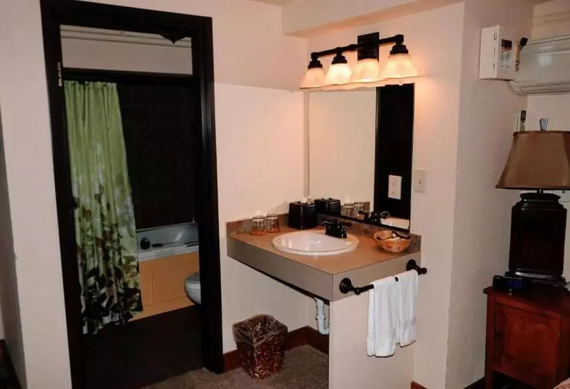 Отель Iowa House Historic Inn