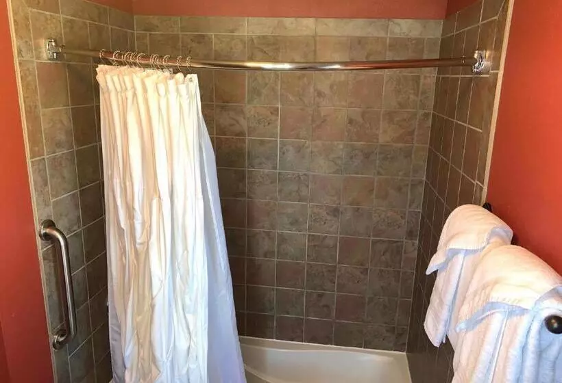 Отель Iowa House Historic Inn