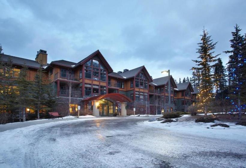 فندق Platinum Suites