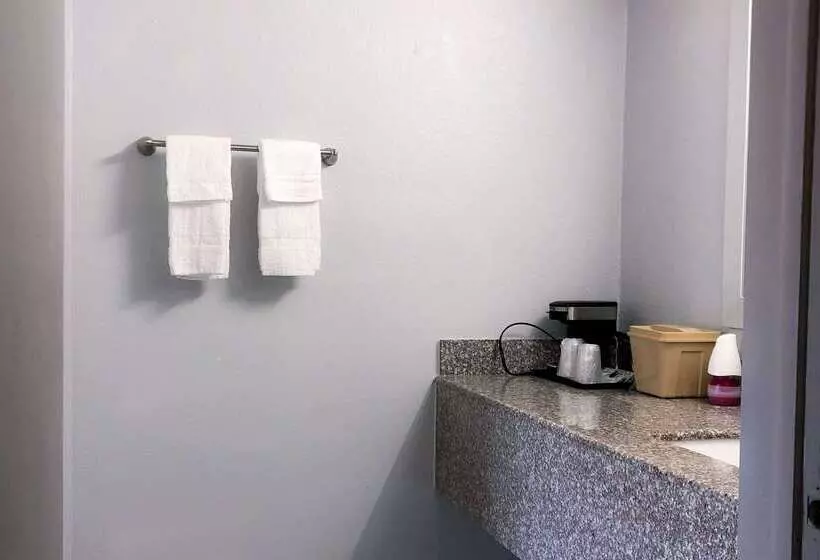 호텔 Rodeway Inn Sun City Center