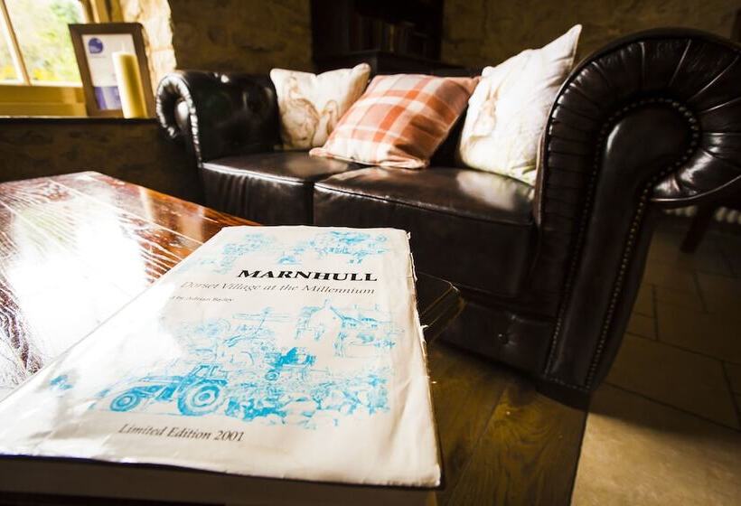 فندق The Crown At Marnhull