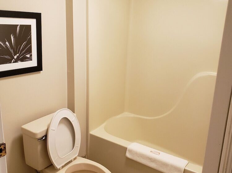 فندق على الطريق Peach Tree Inn