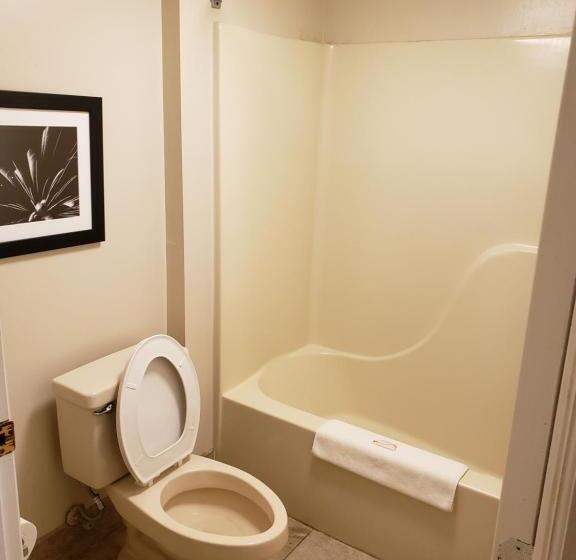 فندق على الطريق Peach Tree Inn