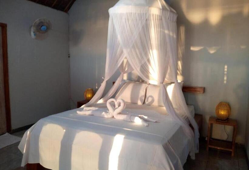 Szálló Cassabonelly