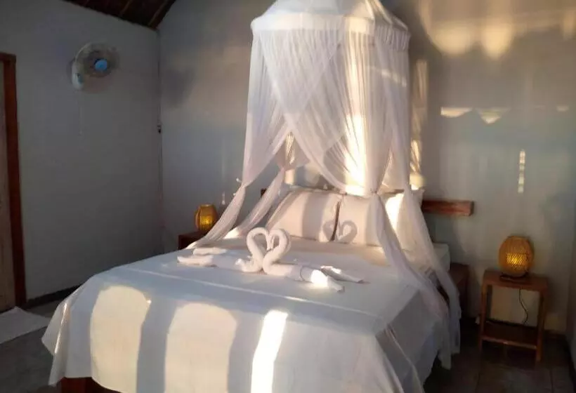 ユースホステル Cassabonelly