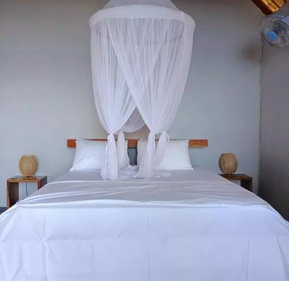 ユースホステル Cassabonelly