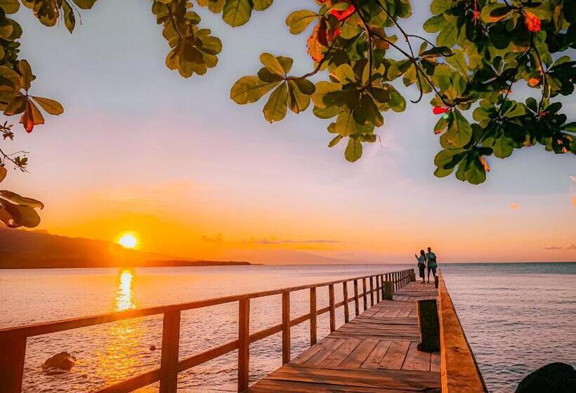 Szálló Cassabonelly