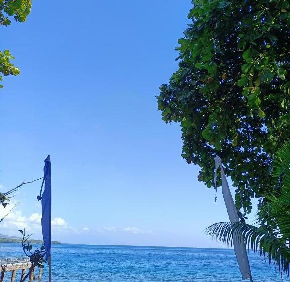 Szálló Cassabonelly