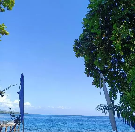 ユースホステル Cassabonelly