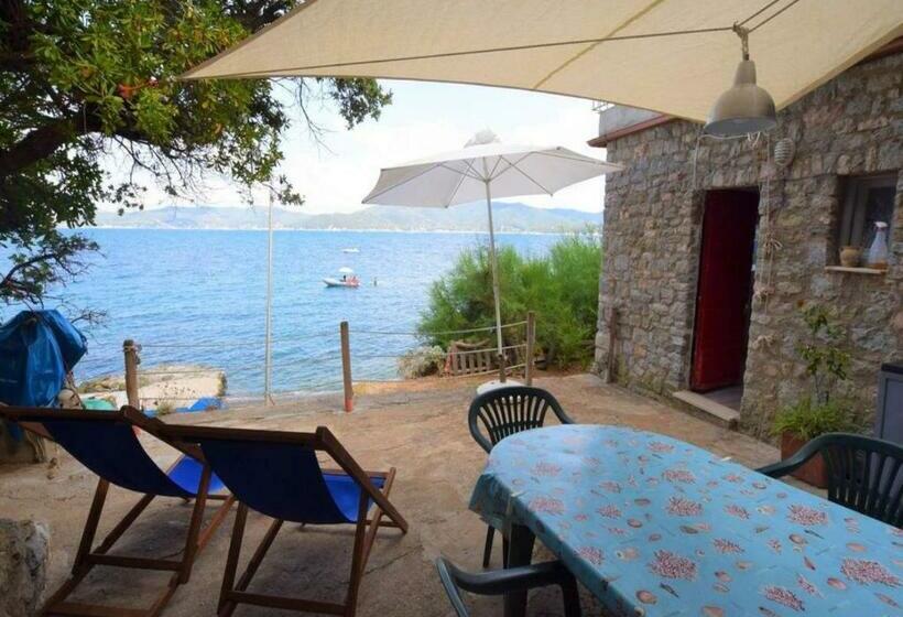 酒店 Cotetonda   Appartamento Ilvia