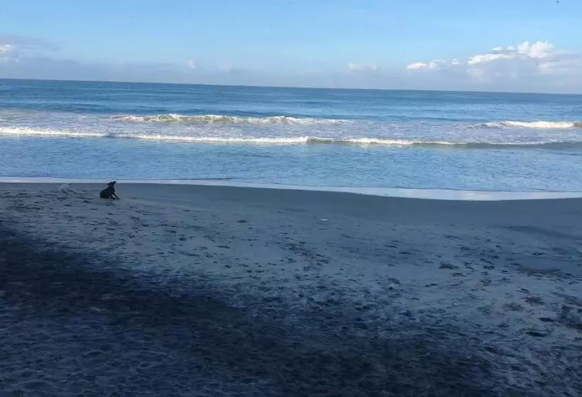 ホテル Sandy Beach