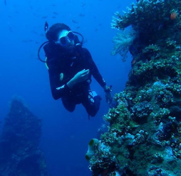 Palm Springs Bali Dive Resort