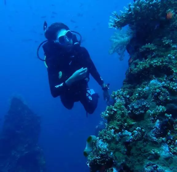 Palm Springs Bali Dive Resort