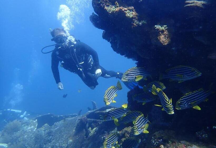 Palm Springs Bali Dive Resort