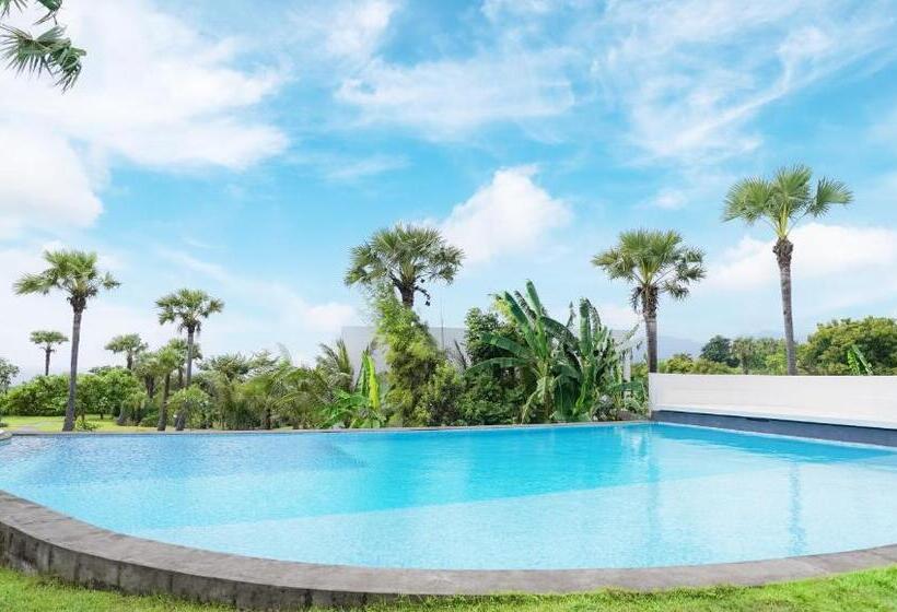 Palm Springs Bali Dive Resort