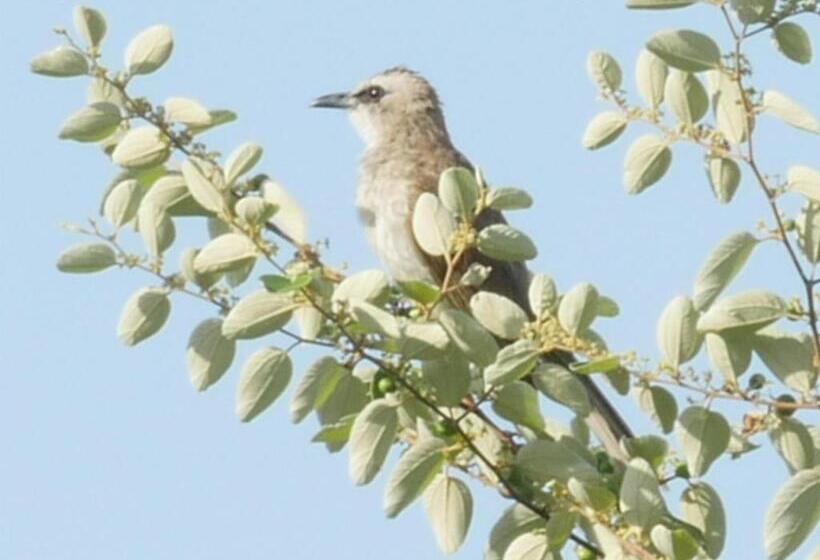 Palm Springs Bali Dive Resort