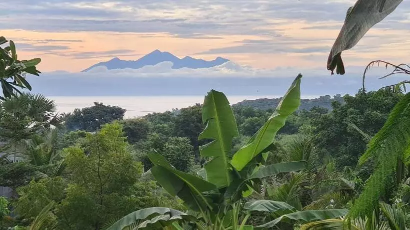 Palm Springs Bali Dive Resort