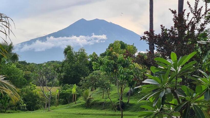 Palm Springs Bali Dive Resort