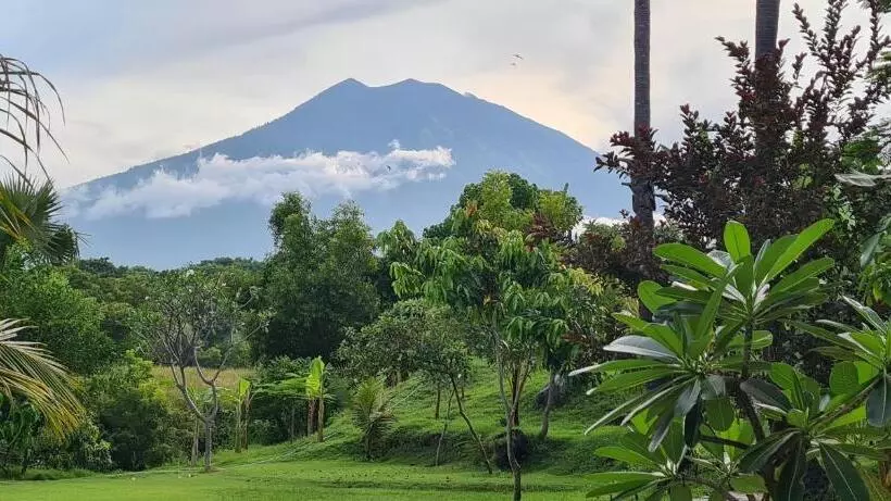 Palm Springs Bali Dive Resort