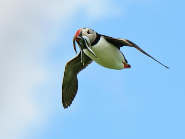 펜션 Coastal Joy   Room 5