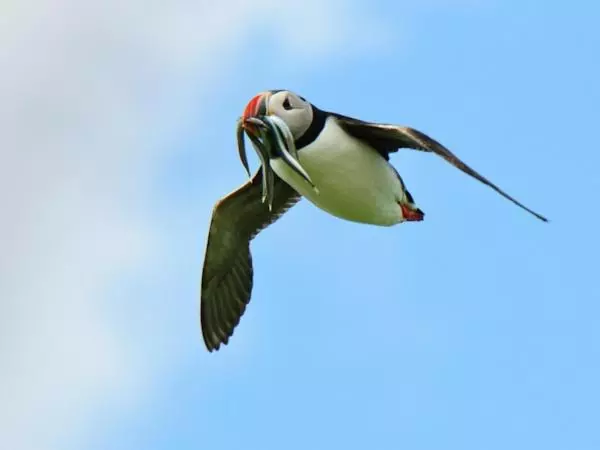 ペンション Coastal Joy   Room 5