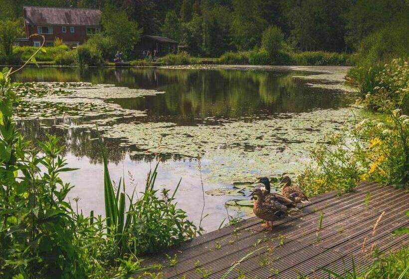 リゾートホテル Awesome Home In Forton, Near Preston With