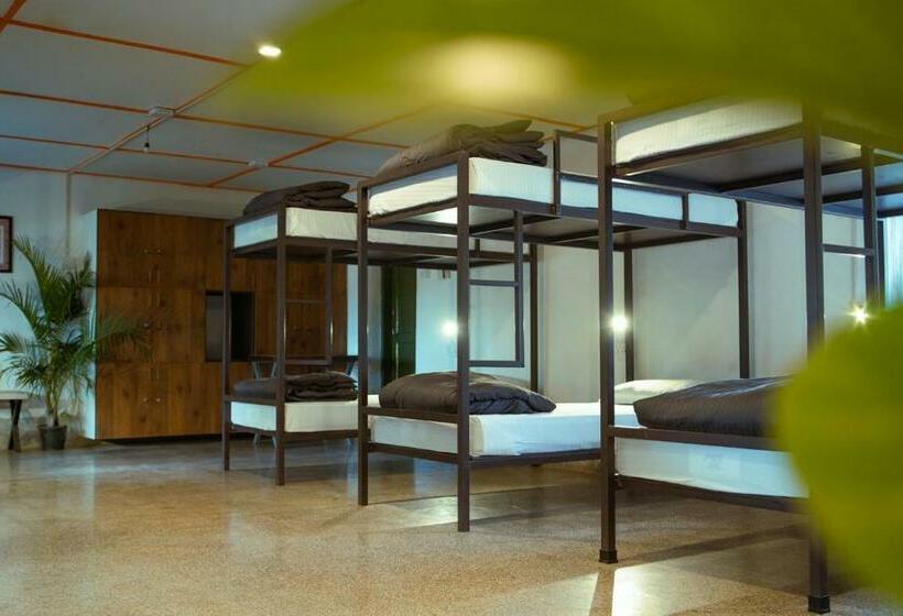 Tentgram Plantation Hostel Suryanelli