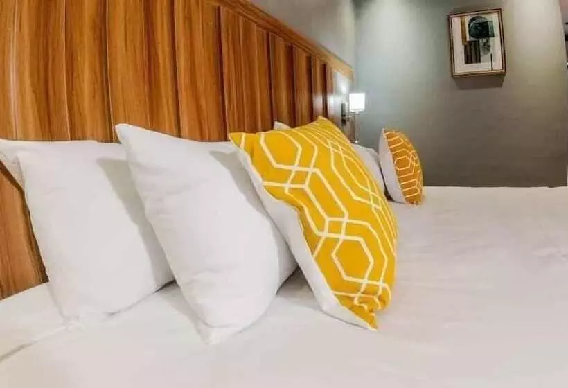 تختخواب و صبحانه Starlight Inn