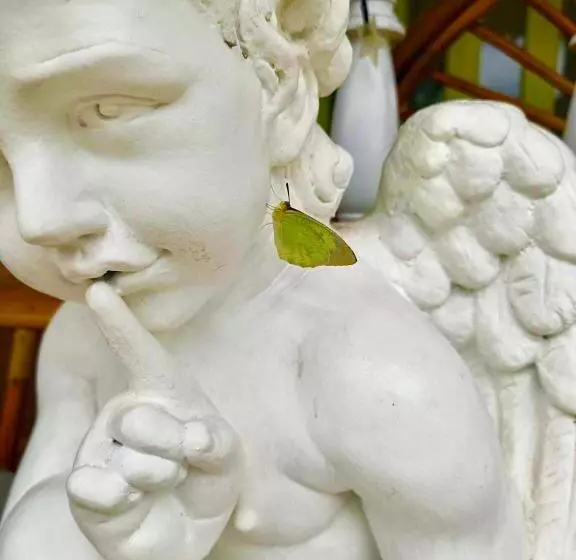 Hotelli เซน บัลโคนี่ เฮ้าส์ ระนอง