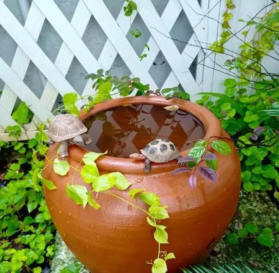 Hotelli เซน บัลโคนี่ เฮ้าส์ ระนอง