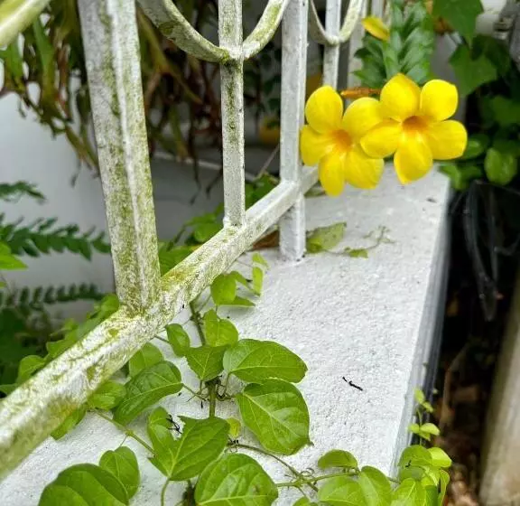 Hotelli เซน บัลโคนี่ เฮ้าส์ ระนอง