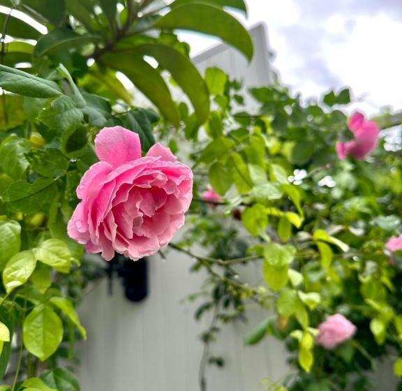 فندق เซน บัลโคนี่ เฮ้าส์ ระนอง