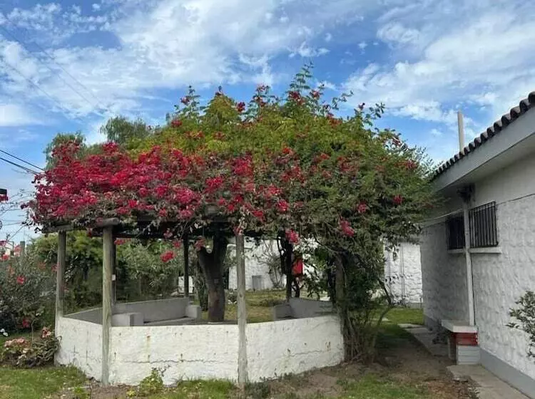 Hotelli Cabañas Villa Los Platanos