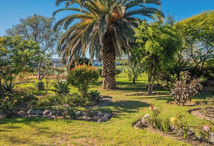 בית מלון כפרי Cabañas Villa Los Platanos