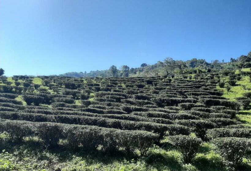 酒店 Chiangrai Resort House