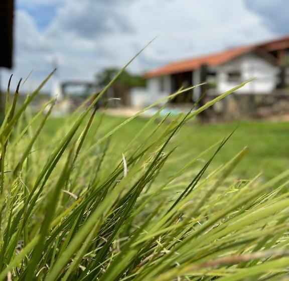 بنسيون Fazenda Do Engenho