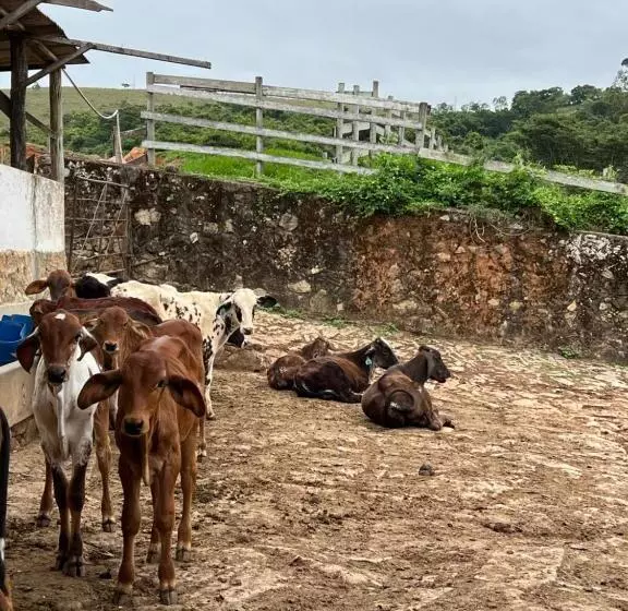 Majatalo Fazenda Do Engenho