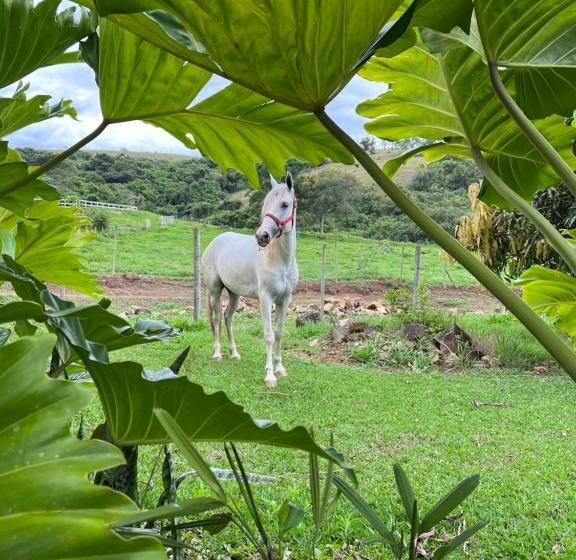 بنسيون Fazenda Do Engenho