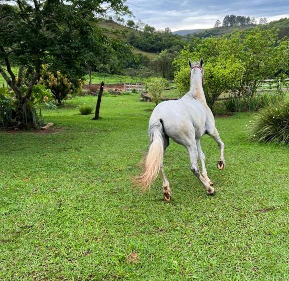بنسيون Fazenda Do Engenho