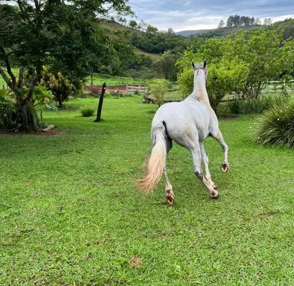 Majatalo Fazenda Do Engenho
