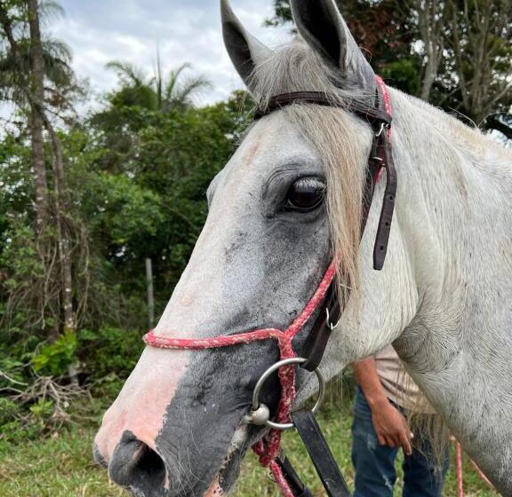 بنسيون Fazenda Do Engenho