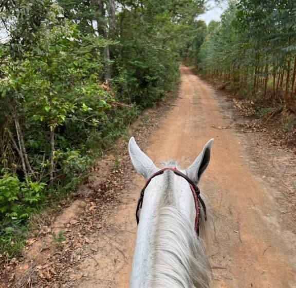 بنسيون Fazenda Do Engenho